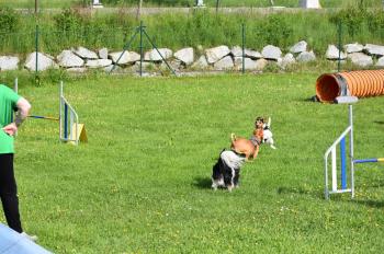 images/galerie3/DSC_0044.jpg