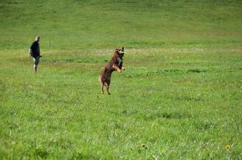 images/galerie3/DSC_0656.jpg